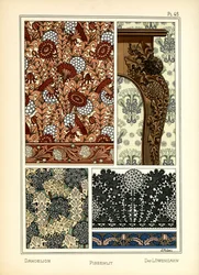 タンポポ